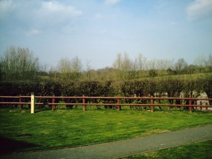 May 2010 Haltwhislte 034