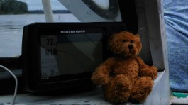 IMG_20181030_111438