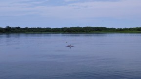 IMG_20181102_101715 1