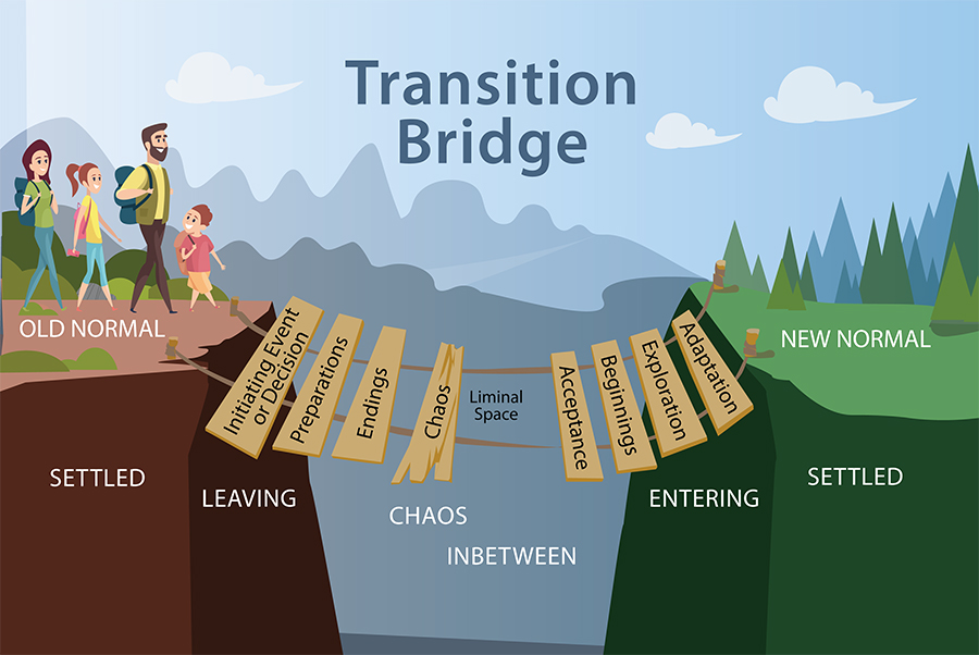 Bridging Covid transitions – Distinct Reflections